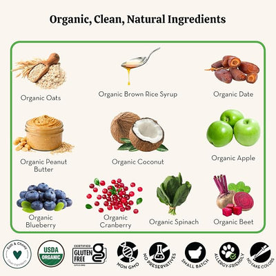 Lord Jameson Apple Pops 6 oz: Organic Soft & Chewy Dog Treats | Natural Puppy & Senior Treats | Easy Chew Hypoallergenic Dog Snacks | Gourmet Healthy Training Treats for Small & Large Dogs