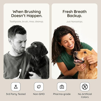 Dog Dental Strips – 10-Pack Dog Breath Freshener | Dissolves in Seconds | Teeth Cleaning Strip | Pet Oral Care Mint Strips