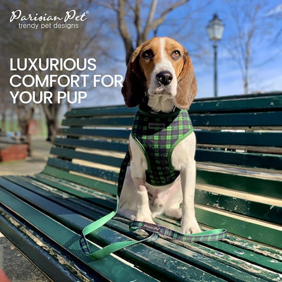 Parisian Pet Green Plaid Dog Harness - Breathable No Pull Puppy Harness with Leash Ring - Adjustable Harnesses for Dogs - Soft Padded Step-in Pet Vest - Lightweight Dog Vests for Small Sized Dogs