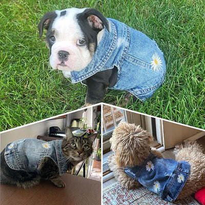 Pet Clothes Vintage Denim Dog Jacket with Daisy Embroidery - Puppy Stylish Pet Coat for Chihuahua, Yorkie Small Breeds - All-Season Comfort (Blue,Small)