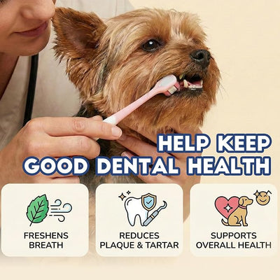 Small Dog Toothbrush, Puppy & Cat Tooth Brushing Kit, Ultra Soft & Head Teeth Brush for Kitten & Tiny to Medium Pet, Doggy Toothbrushes Deep Dental Clean, 2 PCS, Pink