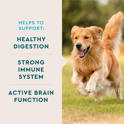 VetIQ 8-in-One Multifunctional Supplement for Dogs, Supports Hip & Joint, Urinary Tract, Immune System, Skin Health and Heart Health, Soft Chews, Made in the USA, 90 Count
