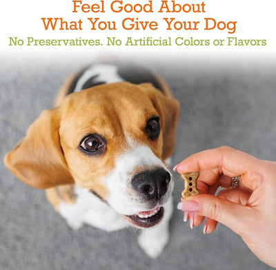 Riley's Dog Biscuits - Organic & Crunchy Small Dog Treats for Training and Reward - All Natural Bone Biscuits Made in USA - 12oz, Pumpkin with Coconut