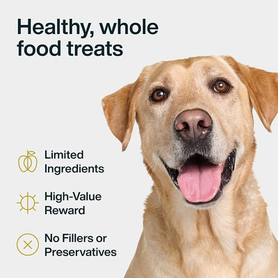 JustFoodForDogs Single Ingredient Healthy Dog Treats and Dog Snacks, Jerky Treats, Human Grade, Preservative and Grain Free, Rawhide Free Chews, Low Calorie Treat - Pumpkin, 5 oz