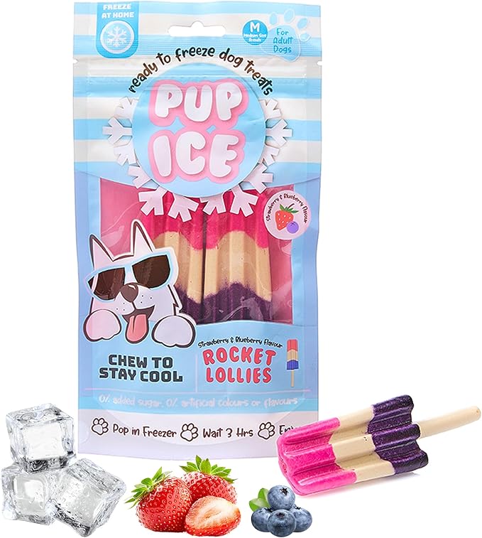 Pup Ice- Ready to Freeze at Home Dog Treats-Edible Chews for Medium Breed Dogs & Puppies with Real Chicken to Keep Your Pup Cool Year Round, Rocket Lollies Strawberry & Blueberry Flavor, 2pcs