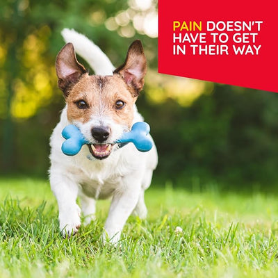 MediNatura T-Relief Pet Pain Relief Arnica +12 Powerful Natural Medicines Help Ease Muscle Joint & Hip Pain Soreness Stiffness & Injuries Max Fast-Acting Soother for Dogs & Cats - 90 Tablets (2 Pack)