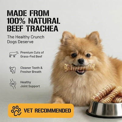 Dog Chits Beef Trachea Dog Chews - 100% Single Ingredient, High Protein, Low Fat - Glucosamine for Joint Support - Dental-Clean Crunch - Digestible Rawhide-Free, Natural Dog Chew Treats - 12inch, 4pk