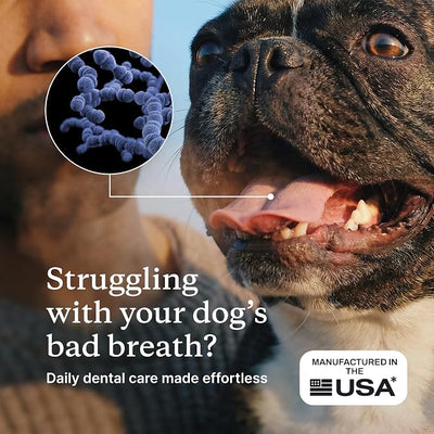 PetLab Co. ProBright Dental Powder - Dog Breath Freshener - Teeth Cleaning Made Easy – Targets Tartar & Bad Breath - Formulated for Small Dogs - Pack of 2