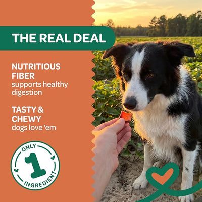 Wholesome Pride Healthy Sweet Potato Bites – Sensitive Stomach Dog Treats, No Preservatives, Single-Ingredient, No Grain, 8 oz