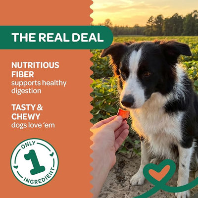 Wholesome Pride Healthy Sweet Potato Bites – Sensitive Stomach Dog Treats, No Preservatives, Single-Ingredient, No Grain, 16 oz