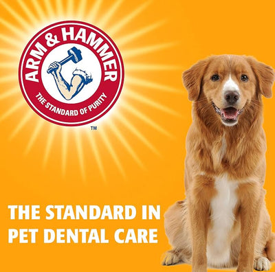 Arm & Hammer for Pets Fresh Breath Enzymatic Dog Toothpaste Vanilla Ginger Flavor Baking Soda Dental Gel Eliminates Bad Breath Safe Puppies Adult Dogs Daily Use 2.5 OZ 2 Pack Dogs and Puppies
