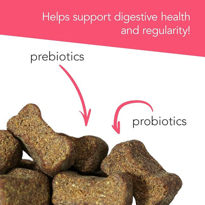 VetriScience Gut Health Chews, Probiotic Everyday Digestive Supplement for Dogs, Pet Probiotics for Digestion Support, Gas and Diarrhea, Immune Support, 1 Billion CFU Per Chew, Duck, 45 Count