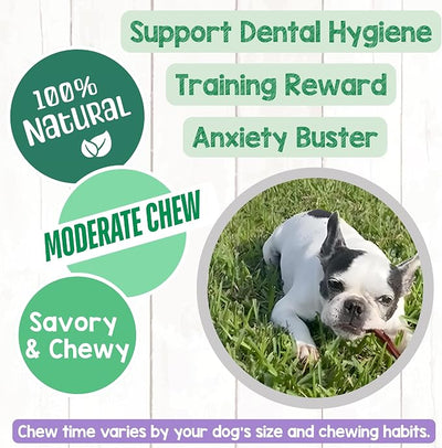 Nature Gnaws Extra Thin Pork Bully Sticks for Small Dogs 5-6" (15 Count) - Long Lasting for Light Chewers and Puppies - Natural Bacon Dog Chew Treats