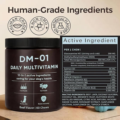 DM-01 Daily Multivitamin, Multivitamin Itch Relief Chews for Dog, with Folic Acid, Salmon Oil, Chondroitin & Natural Vitamins, Skin and Coat Healthy, Digestive & Boost Immunity, 60 Chews (Beef)