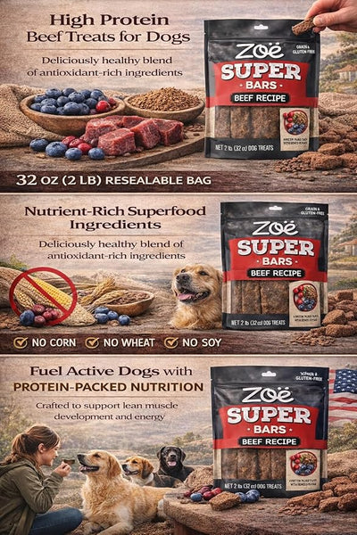 Zoe Super Bars Beef Recipe Dog Treats - Protein Packed Snacks with Berries and Flax Grain Gluten Free 32 oz Bag Big of Made The Finest Ingredients, 2 Pound (Pack 1)