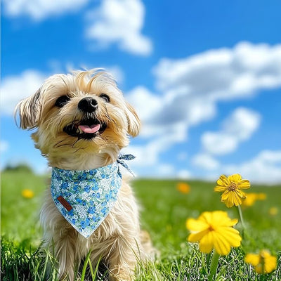 Blueberry Dog Bandana - Soft Blue Spring Summer Dog Neck Scarf, Cute Pet Bib for Medium Large Dogs, Playful Photo Dogs Cats Prop for Daily Use Parties & Pet Photography L