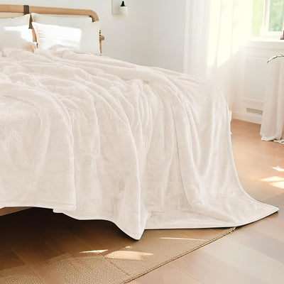 Eydna Electric Heated Blanket Queen Size 84"x90", Soft Plush Microplush for Bed, Dual Controllers & Dual Heating Zones, 10 Hours Auto Off & 4 Heating Levels, Machine Washable, Gifts for Womens-White