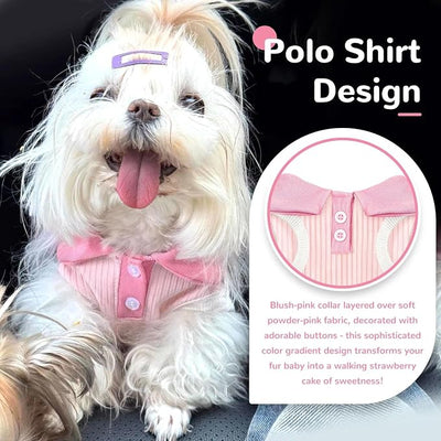 Dog Tshirts for Small Dogs Polo Shirt Stretchy Dog T Shirt Breathable Dogs Cooling Vest Girl Boy Puppy Dachshund French Bulldog Frenchie Chihuahua Clothes