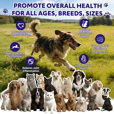 Wild Salmon Oil for Dogs & Cats Pet Omega-3 Fish Oil Supplement to Reduce Shedding and Itching, Support Joints, Brain, Heart, Skin & Coat Health Fast-Absorbing Liquid Fish Oil Supplement - 8 oz