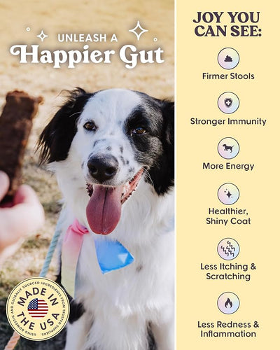 Bundle x Joy Rise & Shine Chicken Jerky Dog Treats - 5 Oz Bag, Natural Superfood - Corn, Poultry, Soy & Grain Free Dog Treats Made in USA Only