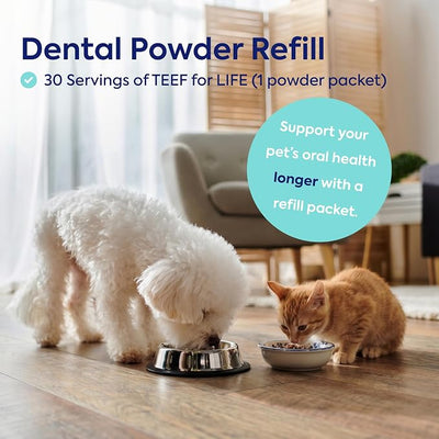 TEEF for Life Protektin42K Prebiotic Pet Dental Powder Refill - 1 Packet | 30 Servings, 3-Ingredient Tasteless Natural Water Additive for Dogs & Cats, For Teeth Cleaning, Bad Breath, Tartar & Plaque