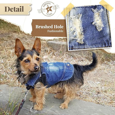 Cool Dog Jean Jacket Small Puppy Outfits Frenchie Clothes Denim Coats for Small Medium Dogs Cats Boys Girls Pet Vest Dog Shirt Clothing Doggy Costume (Blue, XL（Suggest 12-16 lbs）)