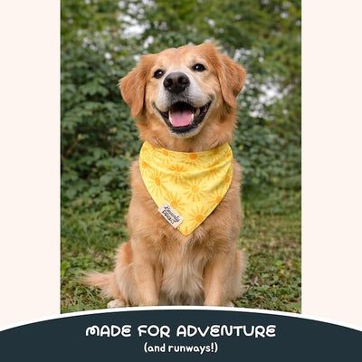 Snap-On Dog Bandana for Small Medium Large Pets, Dogs Cats Adjustable Handkerchief Scarf for Girl & Boy, Funny Cute Puppy Apparel & Accessories (Sunny, Small)