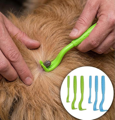 Evollax Tick Removal Tool – 6 Pack Tick Remover Tool for Humans and Pets | Tick Removal Kit Includes Tick Identification Card | Tick Prevention for Dogs and Cats Safely Remove Entire Tick Head & Body