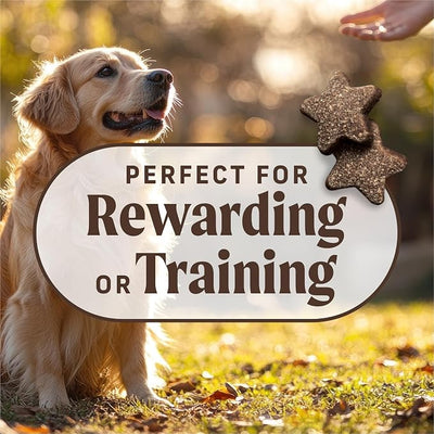Merrick Power Bites Natural Soft And Chewy Real Meat Dog Treats, Grain Free Snack, Real Turducken Recipe - 6 oz. Bag