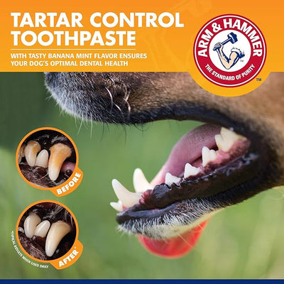 Arm & Hammer for Pets Tartar Control Dog Dental Care Kit Banana Mint Flavor Toothpaste Double-Sided Toothbrush Finger Brush 2.5 OZ 3-Piece 48 Pack