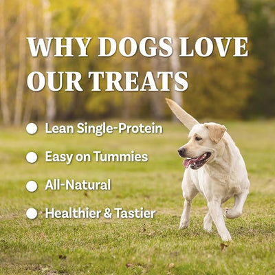 AFreschi Buffalo Dog Treats, All-Natural, High Protein, Low Fat, Human Grade Puppy Chews – Healthy Grain-Free Training Treats, 12oz Jerky