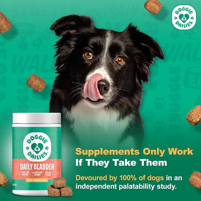 Doggie Dailies Cranberry Supplement for Dogs - Urinary Tract, Bladder & Kidney Support - Cranberry with Marshmallow Root, Licorice Root & Apple Cider Vinegar (Chicken) 225 Soft Chews