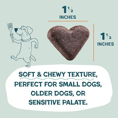 Shameless Pets Soft-Baked Dog Treats, Pumpkin Nut Partay - Natural & Healthy Dog Chews for Digestive Support with Fiber - Made in USA, Free from Grain, Corn & Soy - 2-Pack
