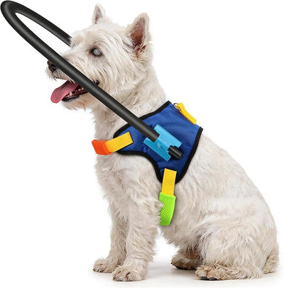 Anti Collision Blind Dog Halo Harness, No-Shock Protective Collar for Visually Impaired Dogs, Adjustable Secure Vest for Blind Dog Comfort Safety(10-14")