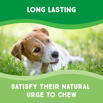 Chips Beef Flavor 1-Pound Bag - Premium Large Dog Rawhide Chews - Ideal for Agressive Chewers Dog Rawhide Treats - Durable Rawhide Bones for Large Dogs