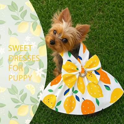 Dog Dress Bowknot Harness Leash Set for Small Dogs Yellow Lemon Dog Cat Clothes Cute Puppy Outfits Pet Clothes Spring Summer Breathable Dresses(Medium)