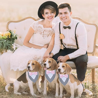 ADOGGYGO Formal Dog Tuxedo Wedding Pet Bandana Collar with Bowtie, Adjustable Birthday Wedding Formal Tux Costumes for X-Small Pets (XS, Grey)
