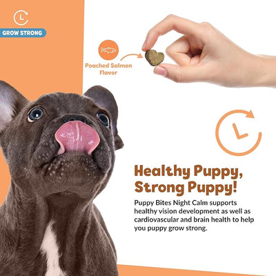 Snuggle Puppy Puppy Bites Grow Strong Supplement - Dog Soft Chews for Overall Health - Omega 3 Supplement for Dog Health - Fish Oil Chews for Dogs - 60 Soft Chews