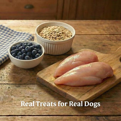 Bil-Jac Smart-Jacs Digestive Support Dog Treats | Made with Chicken | Oatmeal & Blueberry | 4 oz