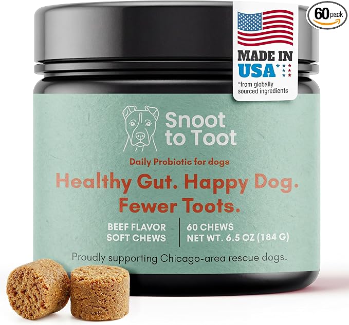 Dog Probiotics with Prebiotics, Digestive Enzymes, Pumpkin Fiber & Colostrum, Daily Gut Health Support for Diarrhea, Gas & Bloating, Six-Strain Probiotic Blend, 60 Beef Flavor Chews