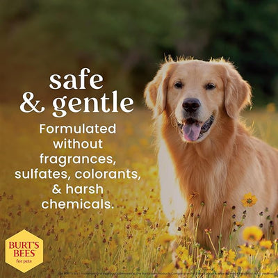 Burt's Bees for Pets Natural Ear Cleaner for Dogs with Peppermint and Witch Hazel, 99.7% Natural Origin Formula, Dog Ear Cleaning Solution for Dogs and Puppies, 4 Fl Oz - 24 Pack