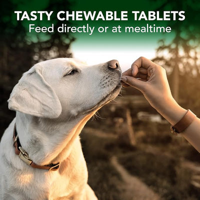 Vet’s Best Dog Allergy Chews, Seasonal Allergy Chews for Dogs, Dog Itching Skin Relief Chews, Anti Itch for Dogs, 60 Chewable Tablets