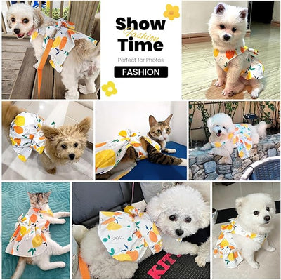 ABRRLO Cute Dog Dress Small Dog Clothes For Girls Female Puppy Outfits Yellow Lemon Pet Summer Clothes Bowknot Doggy Cat Princess Dress Harness for Holiday Birthday Party Costume Clothing (Yellow,XXL)