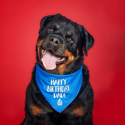 Happy Birthday Dad! Dog Bandana | 100% Cotton Adjustable Triangle | Made in USA | Birthday Party Supplies | Outfit Prop Photoshoot |Turquoise, X-Small (171)
