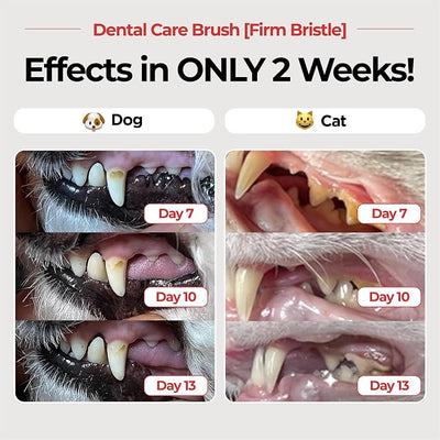 JAYU PET Dental Care Brush, Firm Bristles, 1ea | Resilient Dog Toothbrush, Cat Toothbrush, Tartar & Plaque Removal, Horizontal Head, S-Curved Body