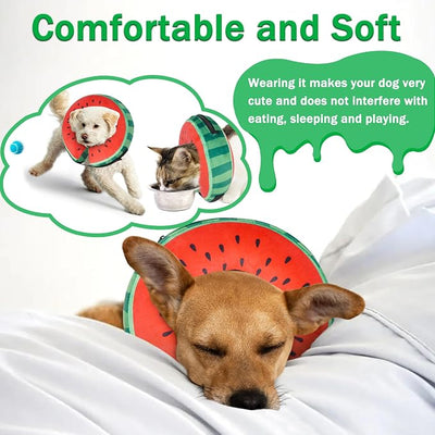 Recovery Donut Collar for Dogs & Cat,Inflatable Dog Collar Alternative After Surgery,Soft Cone for Large Medium Small Pet(Watermelon,Medium)