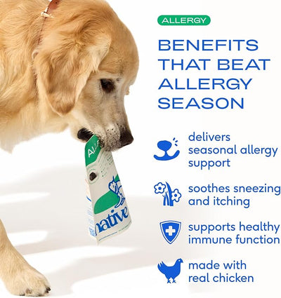 Native Pet Dog Allergy Chews - Dog Allergy Relief for Medium Breeds - Supports Seasonal Itch Relief, Healthy Immune Function & Reduces Sneezing - Colostrum, Spirulina, & Probiotics - 60 Days Supply