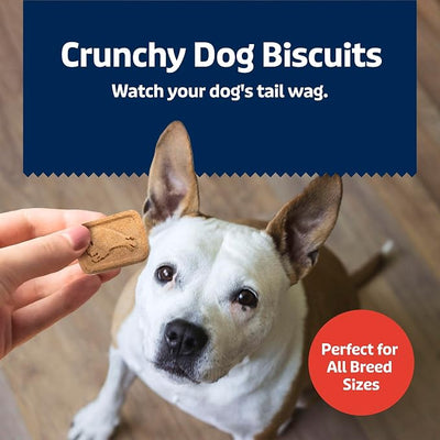 Blue Buffalo Health Bars Bacon, Egg & Cheese Crunchy Dog Biscuits, Oven-Baked with Real Bacon & Natural Ingredients, Healthy Dog Treats with No Artificial Flavors or Preservatives, 16 oz.