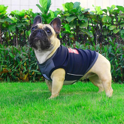 iChoue French Bulldog Summer Cooling Shirt for Dogs UV Sun Protection Vest Sleeveless Stretchy Tank Top English Pug Grey Black - Small