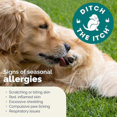 Vetnique Dermabliss Dog Allergy Chews Advanced Strength for Itch & Skin Relief, Anti-Itch Supplement with Aller-Biotic Pro, Quercetin, Wellmune & Omega 3 (30ct, Advanced Strength Chews)
